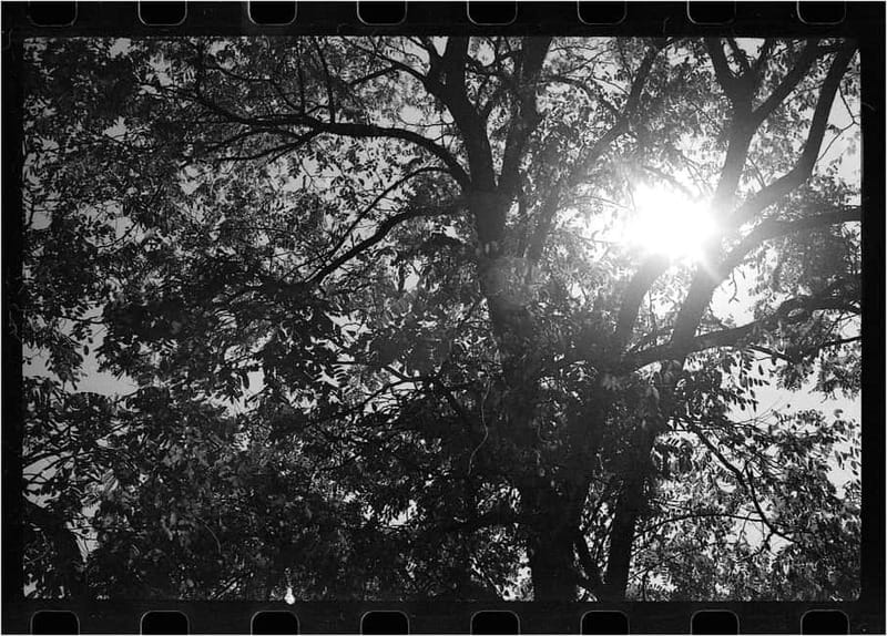 Camden: Photography Tour (Film Cameras Welcome!) - Practicalities and What to Bring