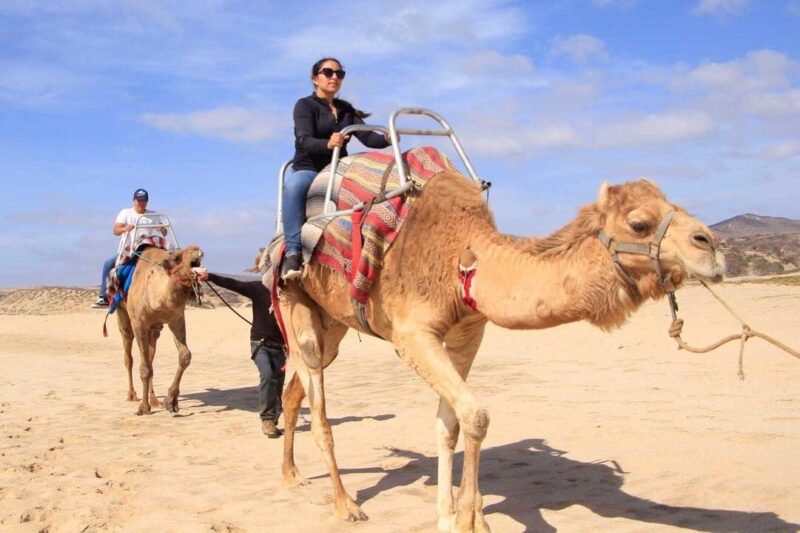 Camel Desert Ride Experience in Cabo - Comparing This Tour to Other Activities in Cabo