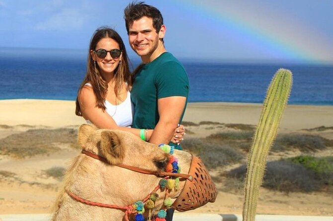 Camel Encounter and Safari Ride. Includes lunch & alcohol tasting - Experience a Unique Camel Ride on Cabos Beaches for $95