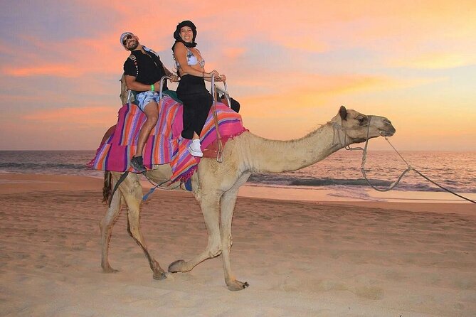 Camel Encounter and Safari Ride. Includes lunch & alcohol tasting - Key Points