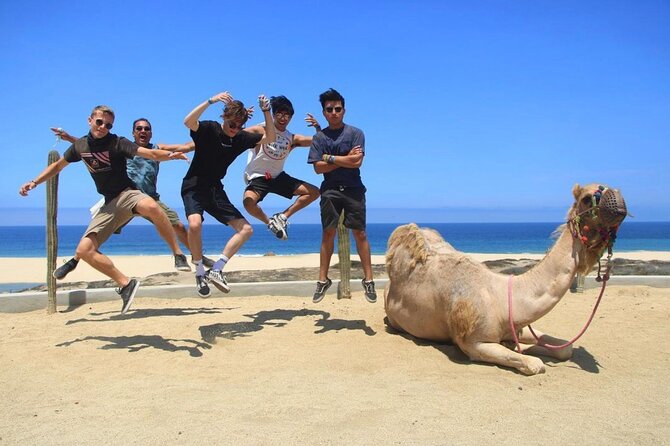 Camel Encounter and Safari Ride. Includes lunch & alcohol tasting - Extra Fees and Important Booking Details