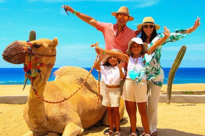 Camel Encounter and Safari Ride. Includes lunch & alcohol tasting - The Experience’s Pacing and Group Atmosphere