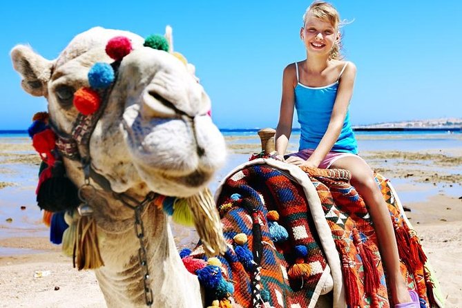 Camel Encounter and Safari Ride. Includes lunch & alcohol tasting - Practical Tips for Tour Participants