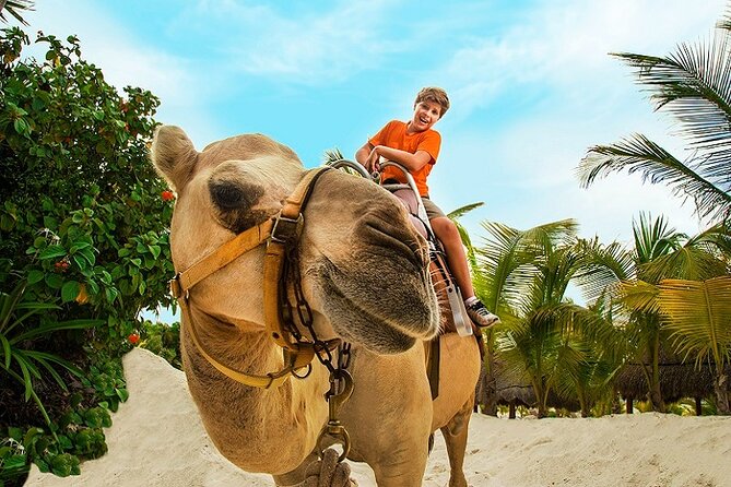 Camel Expedition and Beach Club In Riviera Maya - Food, Beverages, and Photo Options