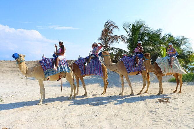 Camel Expedition and Beach Club In Riviera Maya - Logistics and Transportation Experience