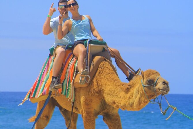 Camel Ride Adventure in Los Cabos Beach Safari & Tequila Tasting - Explore the Unique Camel Ride Adventure in Los Cabos