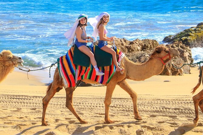 Camel Ride and UTV Combo Adventure, with Tequila Tasting - Exploring Migriño Beach and Its Scenic Dunes