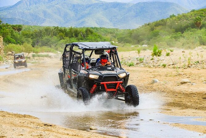 Camel Ride and UTV Combo Adventure, with Tequila Tasting - Tour Logistics and Safety Regulations