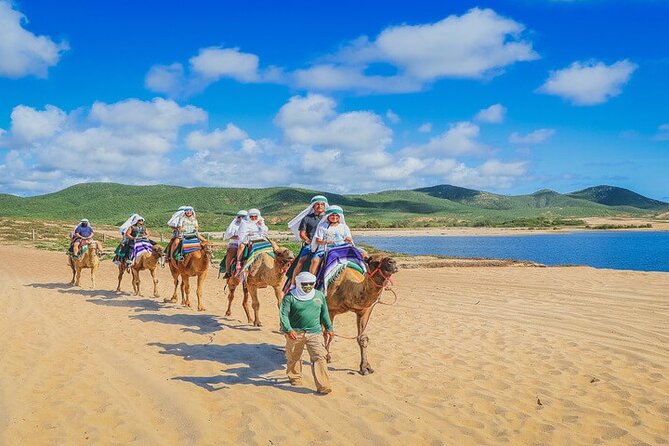 Camel Ride & ATV Combo in Migriño, Mexico - Exciting Combo Adventure Featuring ATV Rides and Camel Safaris in Cabo San Lucas