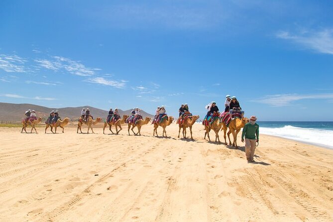Camel Ride & ATV Combo in Migriño, Mexico - The Thrill of ATV Riding Along Migriño Beach