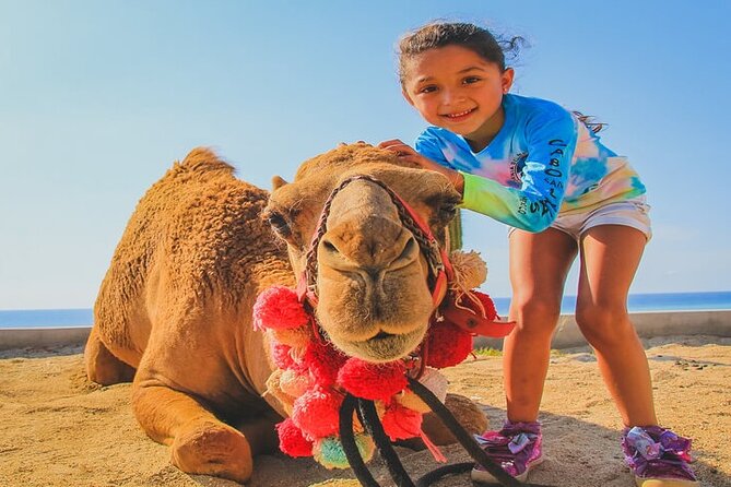 Camel Ride & ATV Combo in Migriño, Mexico - Exploring the Camel Sanctuary and Desert Safari Experience