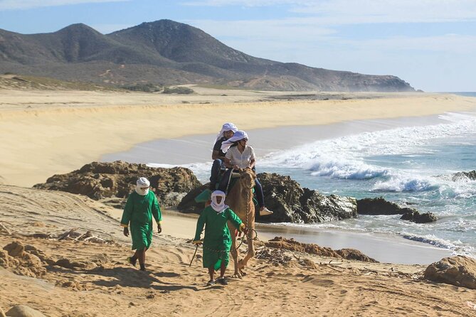Camel Ride & Encounter at Los Cabos - Scenic Camel Trek on the Beaches of Los Cabos