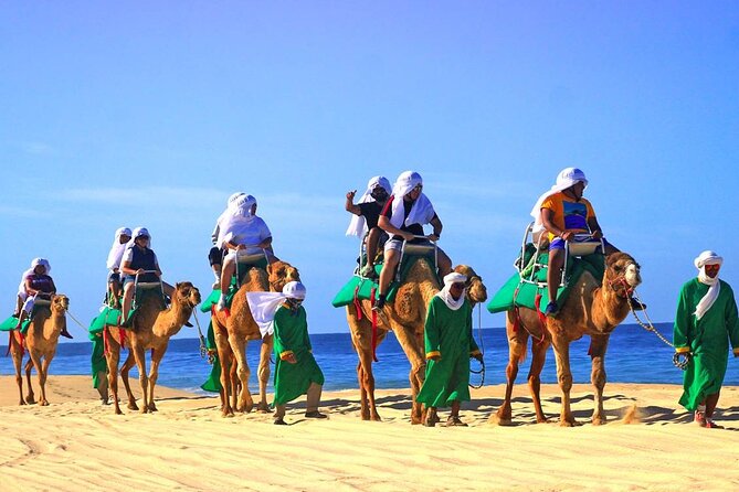 Camel Ride & Encounter at Los Cabos - Considerations and Limitations of the Tour