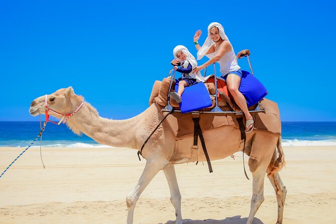 Camel Ride in Los Cabos with Buffet Food and Beer - Scenic Journey to Tierra Sagrada Ranch
