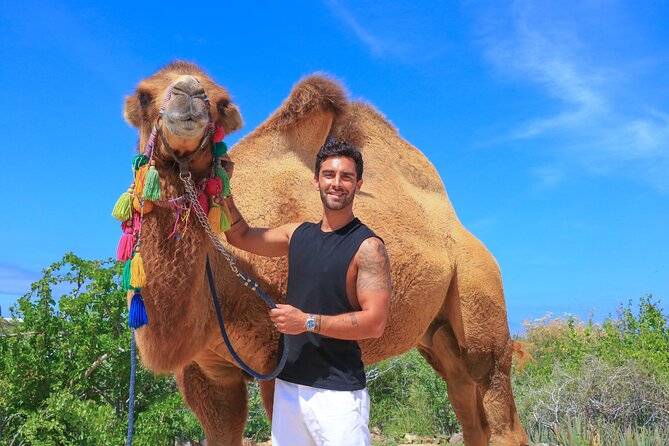 Camel Ride in Los Cabos with Buffet Food and Beer - Handmade Tortilla Making Experience