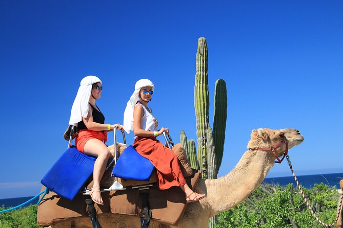 Camel Ride in Los Cabos with Buffet Food and Beer - Booking and Cancellation Flexibility