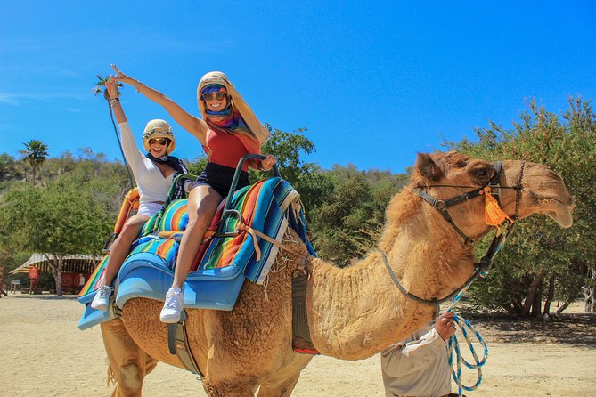 Camel Ride in the Canyon, Thrilling Water Slides and Snacks - Exciting Camel Ride and Wildlife Sanctuary Experience in Cabo San Lucas