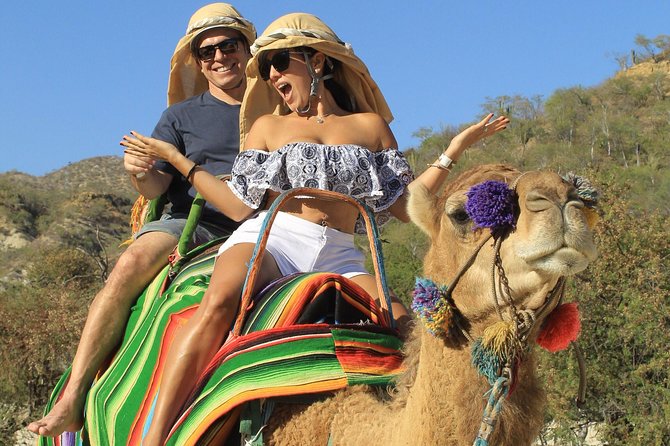 Camel Ride in the Canyon, Thrilling Water Slides and Snacks - Starting Point at Wild Canyon Adventures in Cabo San Lucas