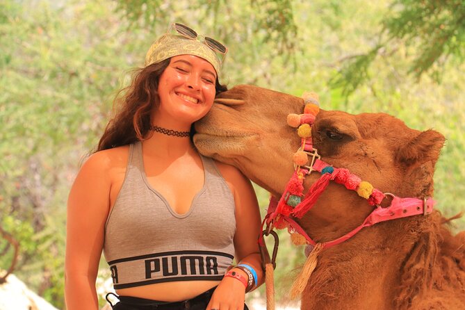 Camel Ride in the Canyon, Thrilling Water Slides and Snacks - Exploring the Animal Sanctuary for Rescued Animals