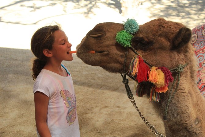 Camel Ride in the Canyon, Thrilling Water Slides and Snacks - Reviews Highlighting the Experience of Guides and Food