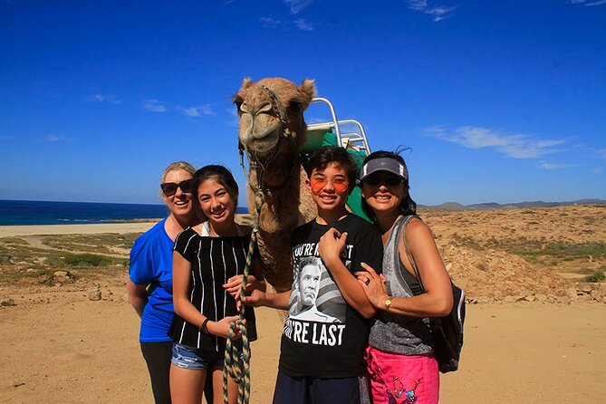 Camel Ride On The Beach at Los Cabos - The Camel Ride Experience on the Baja Coast