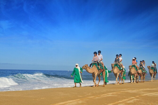 Camel Ride On The Beach at Los Cabos - Transportation and Group Size Details