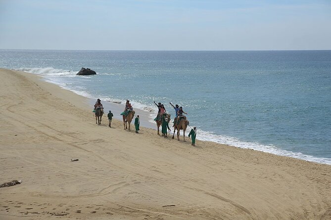 Camel Ride On The Beach at Los Cabos - The Value of the Camel Ride and Cultural Combo