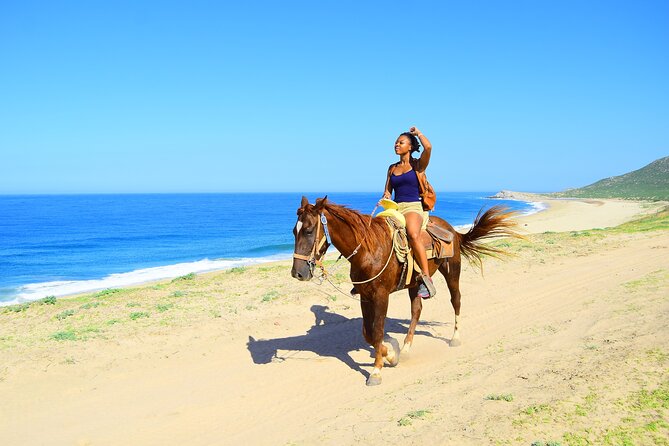 Camel Ride Tour in Los Cabos - Key Points