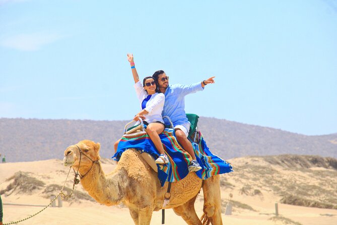 Camel riding experience on the shores of the Pacific Ocean - Discover the Unique Camel Riding Adventure in Cabo San Lucas