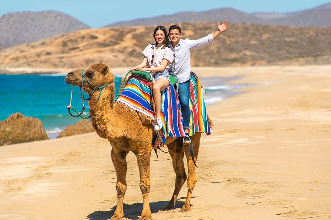 Camel riding experience on the shores of the Pacific Ocean - Front-Loading the Experience: What to Expect During the Tour