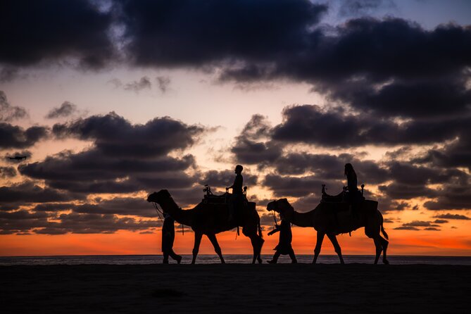 Camel riding experience on the shores of the Pacific Ocean - Traditional Food and Refreshments to Finish the Day