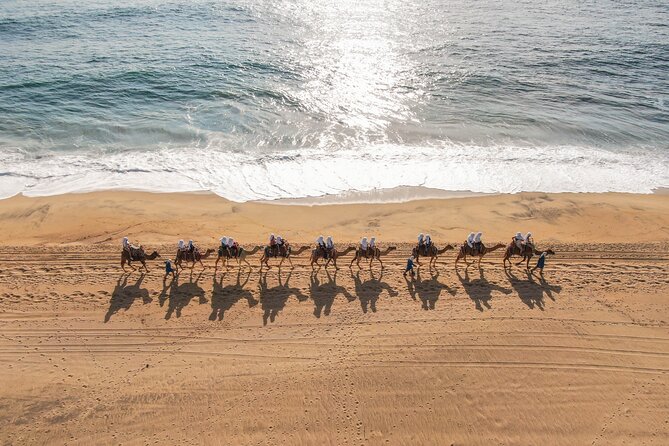 Camel riding experience on the shores of the Pacific Ocean - Practical Details: Booking, Group Size, and Additional Fees