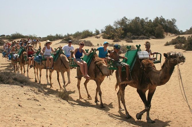 Camel Riding in Maspalomas Dunes - Starting Point at Maspalomas Dunes