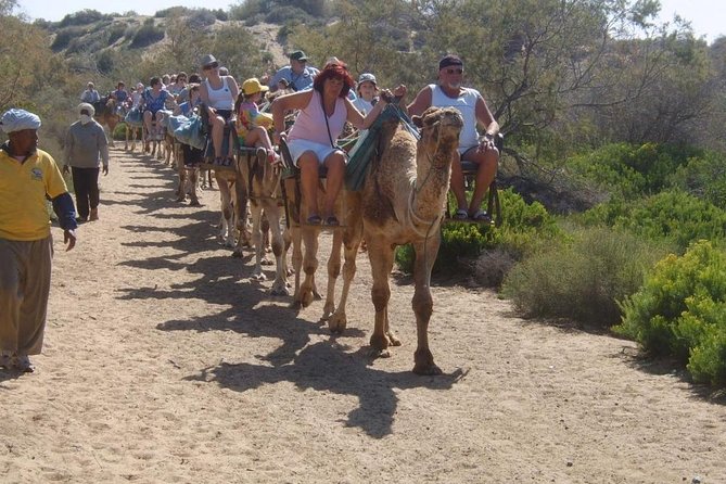 Camel Riding in Maspalomas Dunes - Booking, Signage, and Arrival Tips