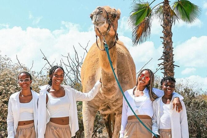 Camel Safari and Gastronomic Experience in Los Cabos - What Makes the Camel Ride Special