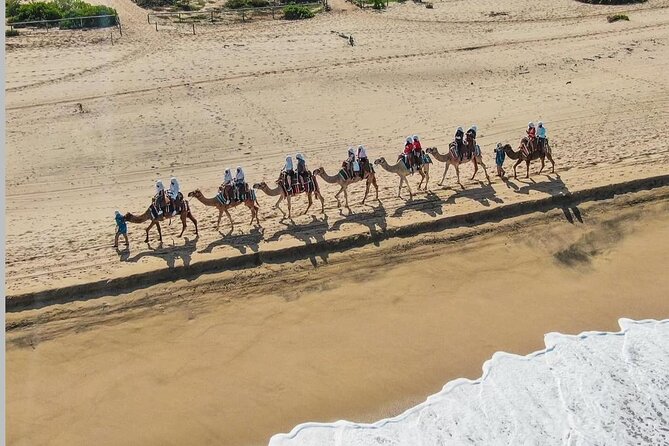 Camel Safari and Gastronomic Experience in Los Cabos - Mexican Buffet and Local Drinks Experience