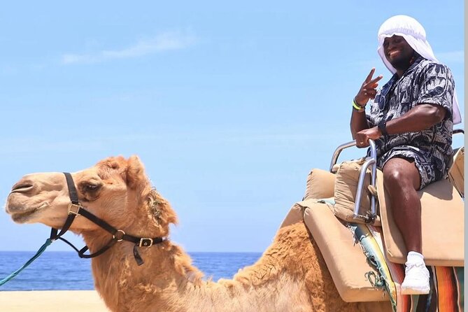 Camel Safari and Gastronomic Experience in Los Cabos - Final Thoughts on the Camel Safari and Gastronomic Experience