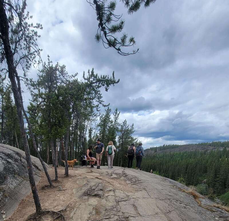 Cameron Falls Waterfall Tour - Small Group and Customization Options