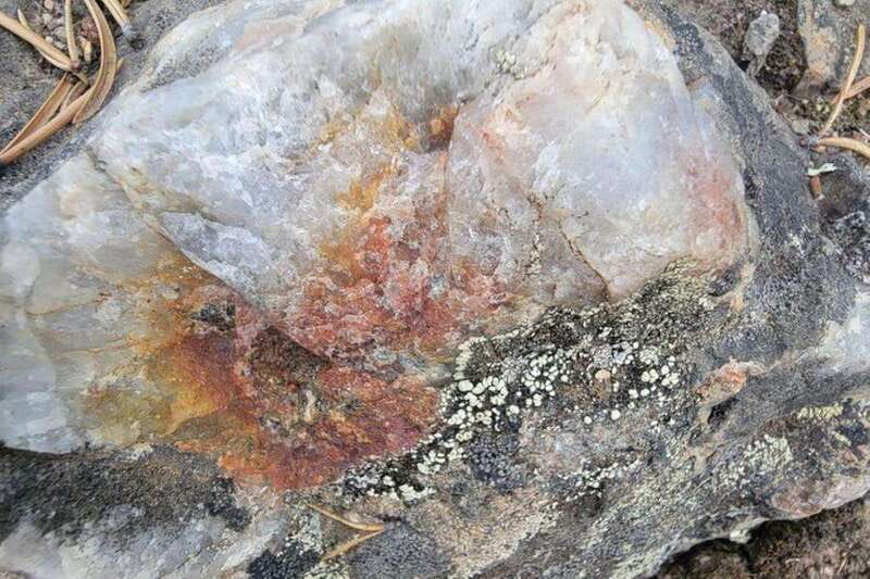 Cameron Falls Waterfall Tour - Logistics: Pickup, Drop-off, and Schedule