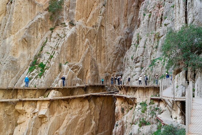 Caminito del Rey Day Trip from Costa del Sol - Physical Requirements and Accessibility