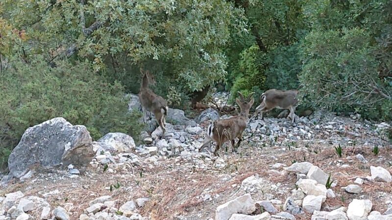 Caminito del Rey: Guided Tour with 1 Water and Shuttle Bus - Physical Requirements and Accessibility