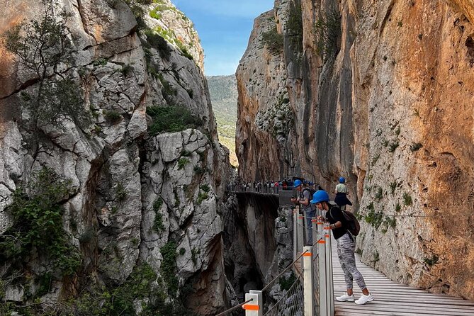 Caminito del Rey Private tour From Marbella - The Role of Guides and Flexibility in the Tour