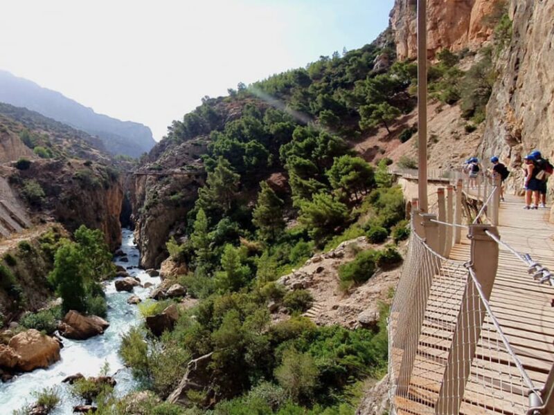 Caminito del Rey: Tour with Official Guide and Drink - Practical Tips: Parking, Timing, and What to Bring