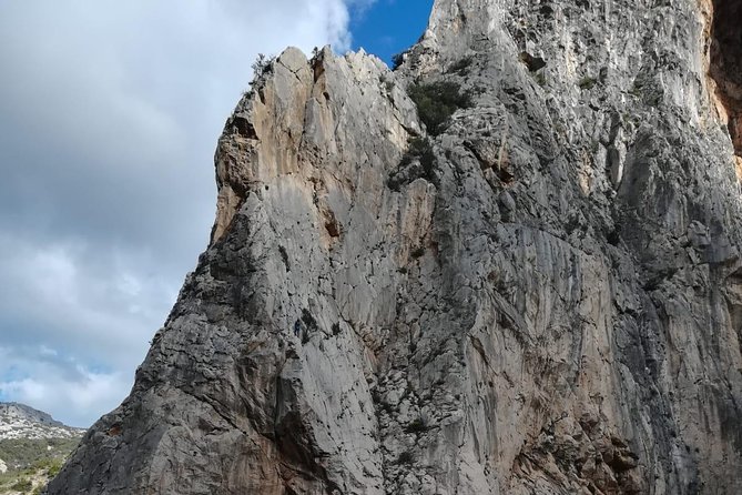 Caminito del Rey Trekking Walkway - Experience Highlights and Scenic Views