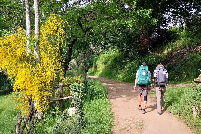 Camino de Santiago French from Sarria to Santiago de Compostela - Key Points