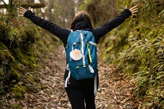 Camino de Santiago French from Sarria to Santiago de Compostela - Daily Walks and Key Stops Along the Route