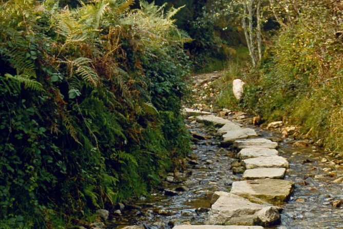 Camino De Santiago: Last 100 km walk from Sarria to Santiago de Compostela - Logistics and Convenience Features