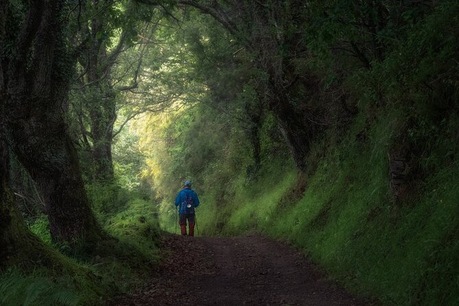 Camino de Santiago Portuguese from Tui to Santiago de Compostela - Starting Point in Tui: The Historic Town