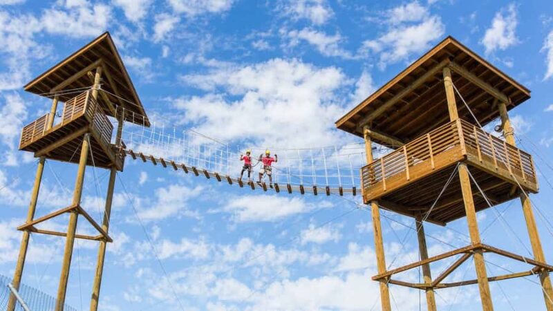 Camp Verde: Predator Zip Lines Guided Tour - Key Points