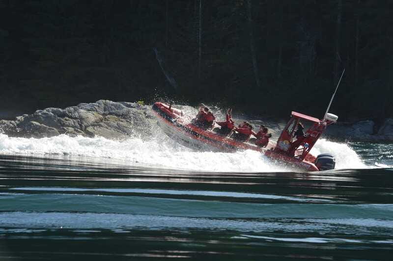 Campbell River: 4-Hour Ocean Rapids Ride - What to Expect During the 4-Hour Ocean Rapids Ride